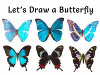 Let_s_Draw_a_Butterfly